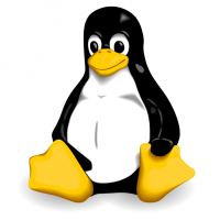 Linux: Dateien trotzdem löschen wenn rm versagt Linux Pinguin